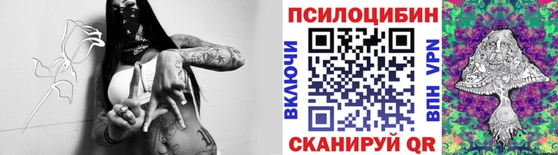 Псилоцибиновые грибы мухоморы где продают Петровск-Забайкальский